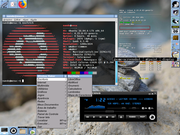 Window Maker Window Maker em Lubuntu Xenial